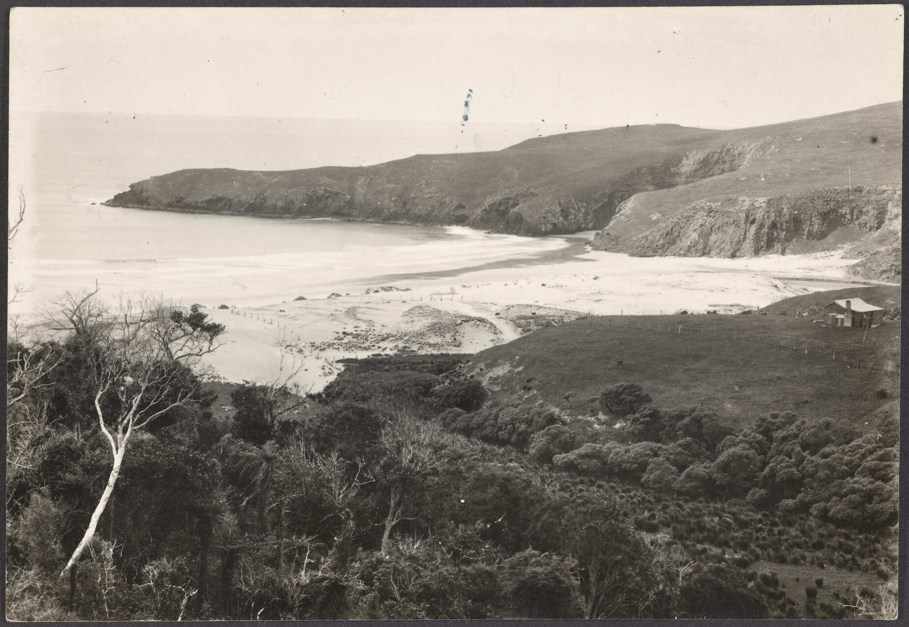 Pipikaretu, Otago Peninsula