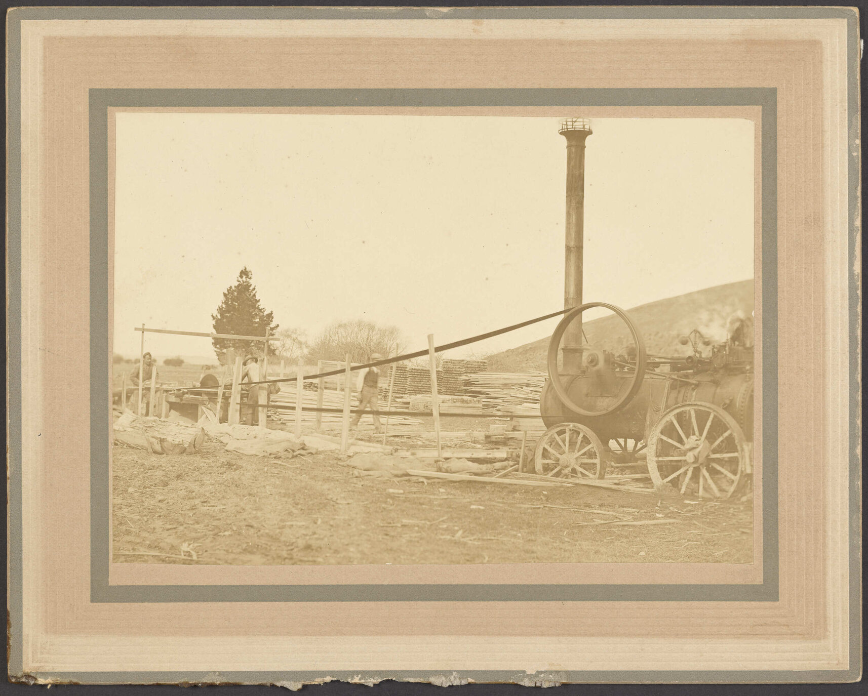 Alex Whalan's Portable Engine Sawing Timber at Coutts Gully