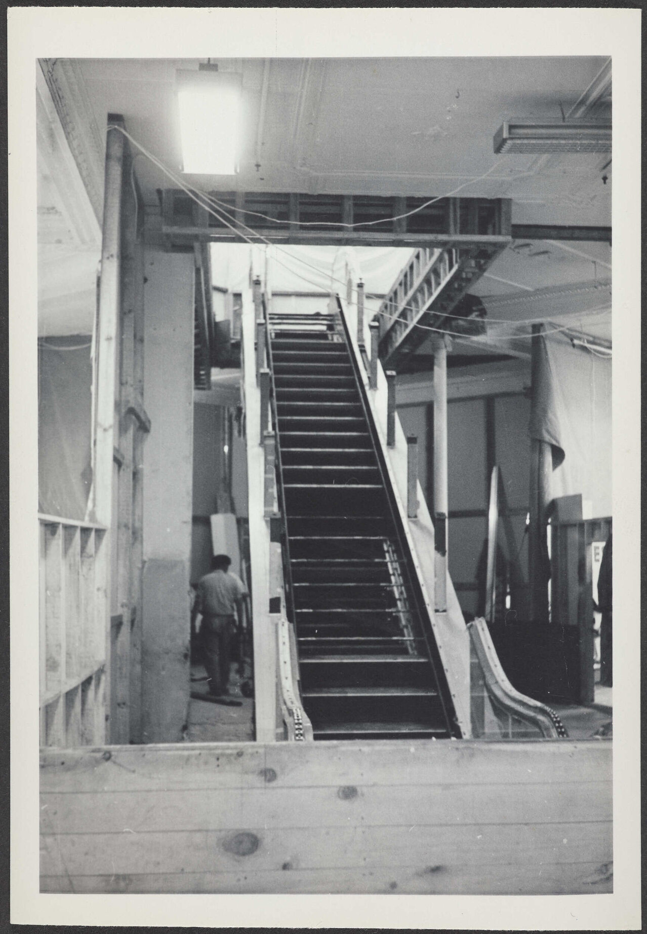 New D.I.C. escalator, Dunedin
