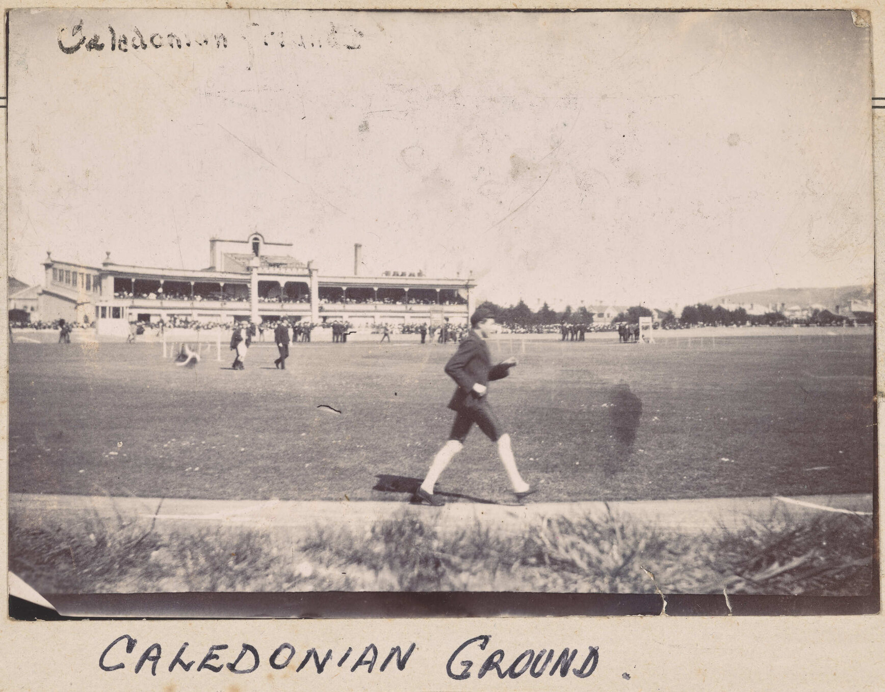 Caledonian Ground