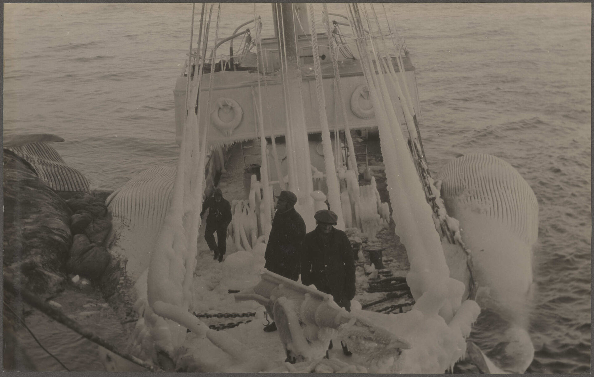Ice-encrusted whale-catcher