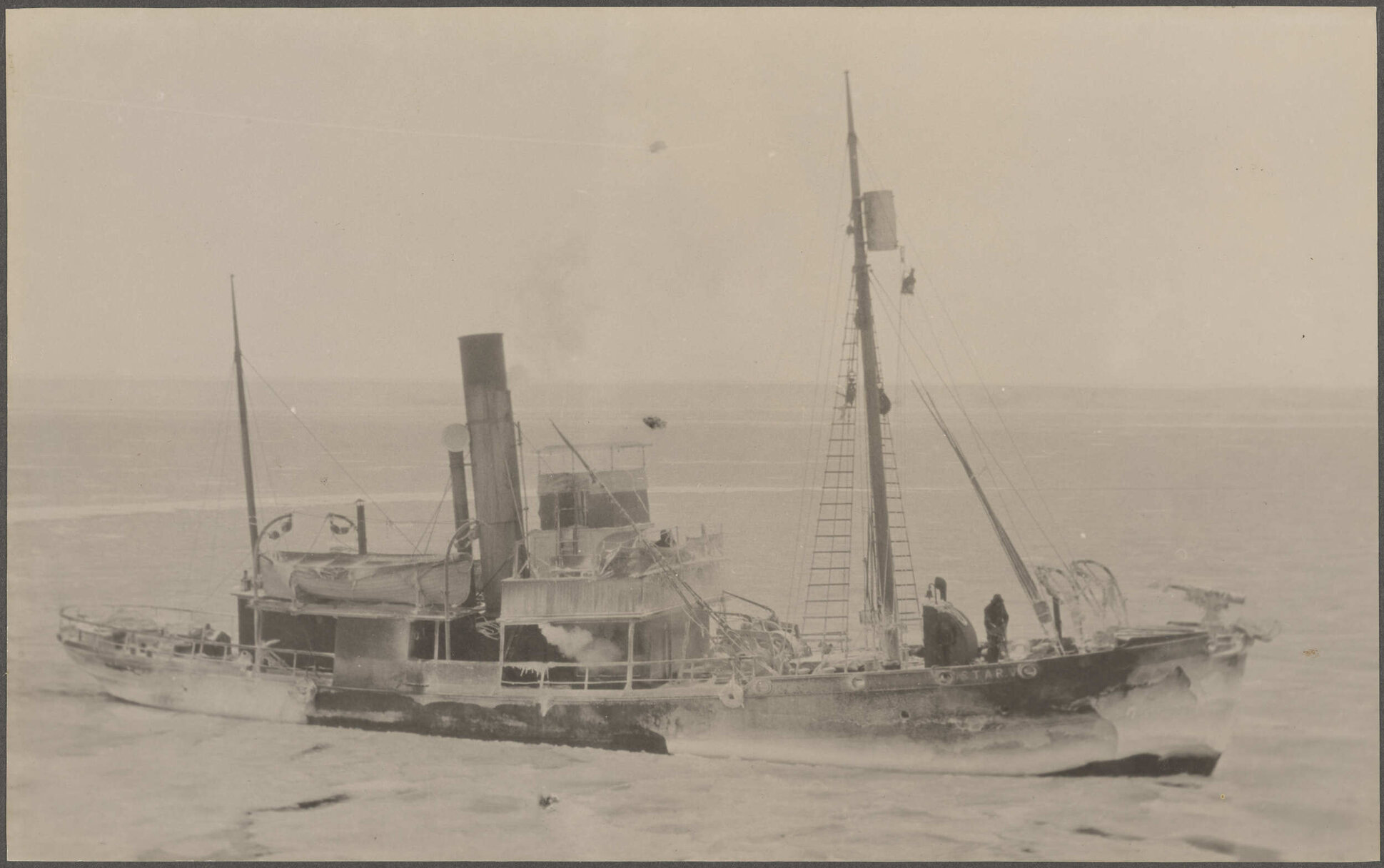 Star V whale-catcher