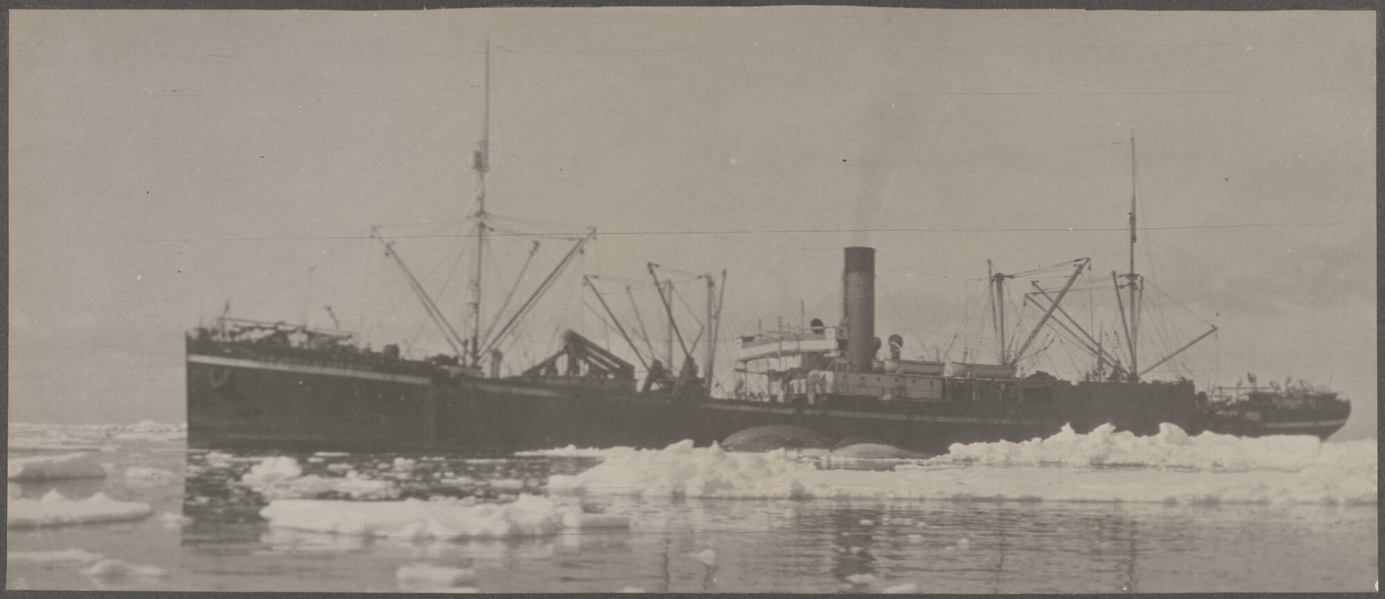 Whaling ship, ice floes and whale carcasses