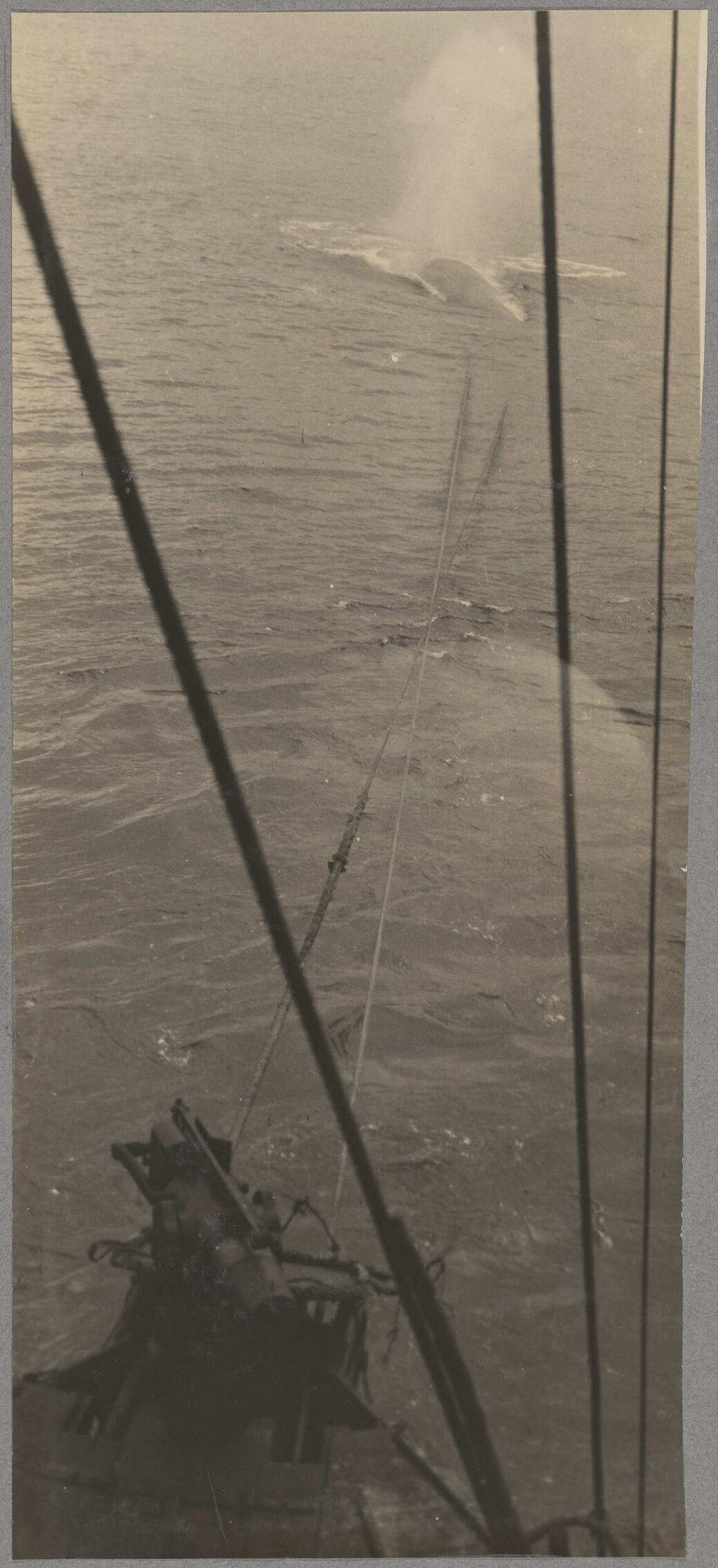 Harpooned whale towing whale-catcher
