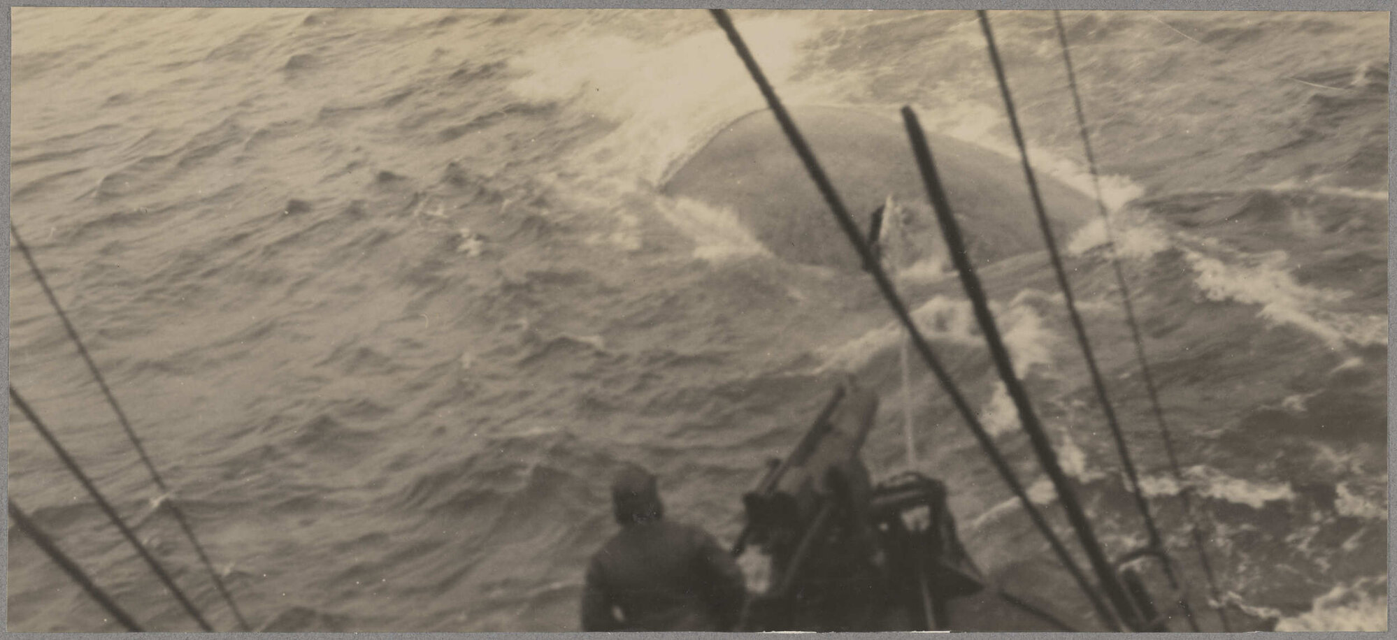 Harpooned whale towing whale-catcher