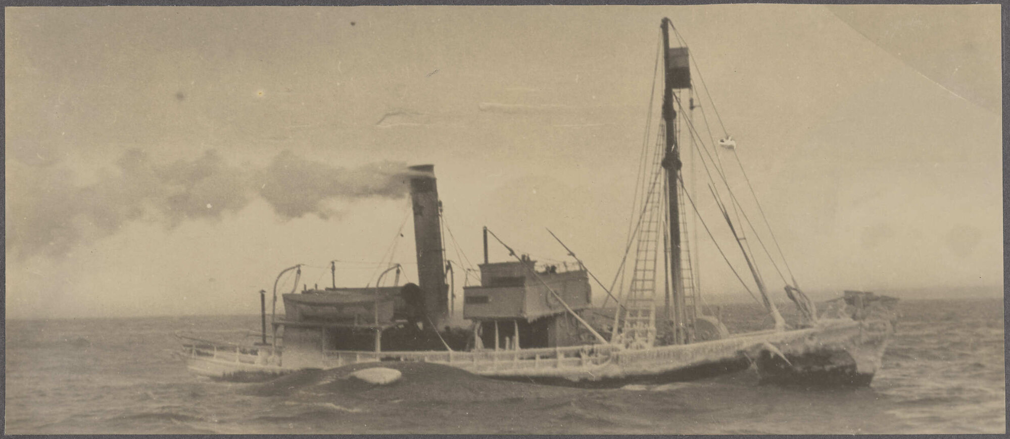 Whale-catcher towing a whale carcass