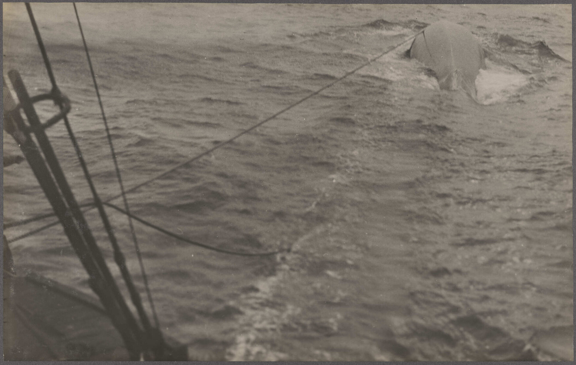 Harpooned whale towing whale-catcher