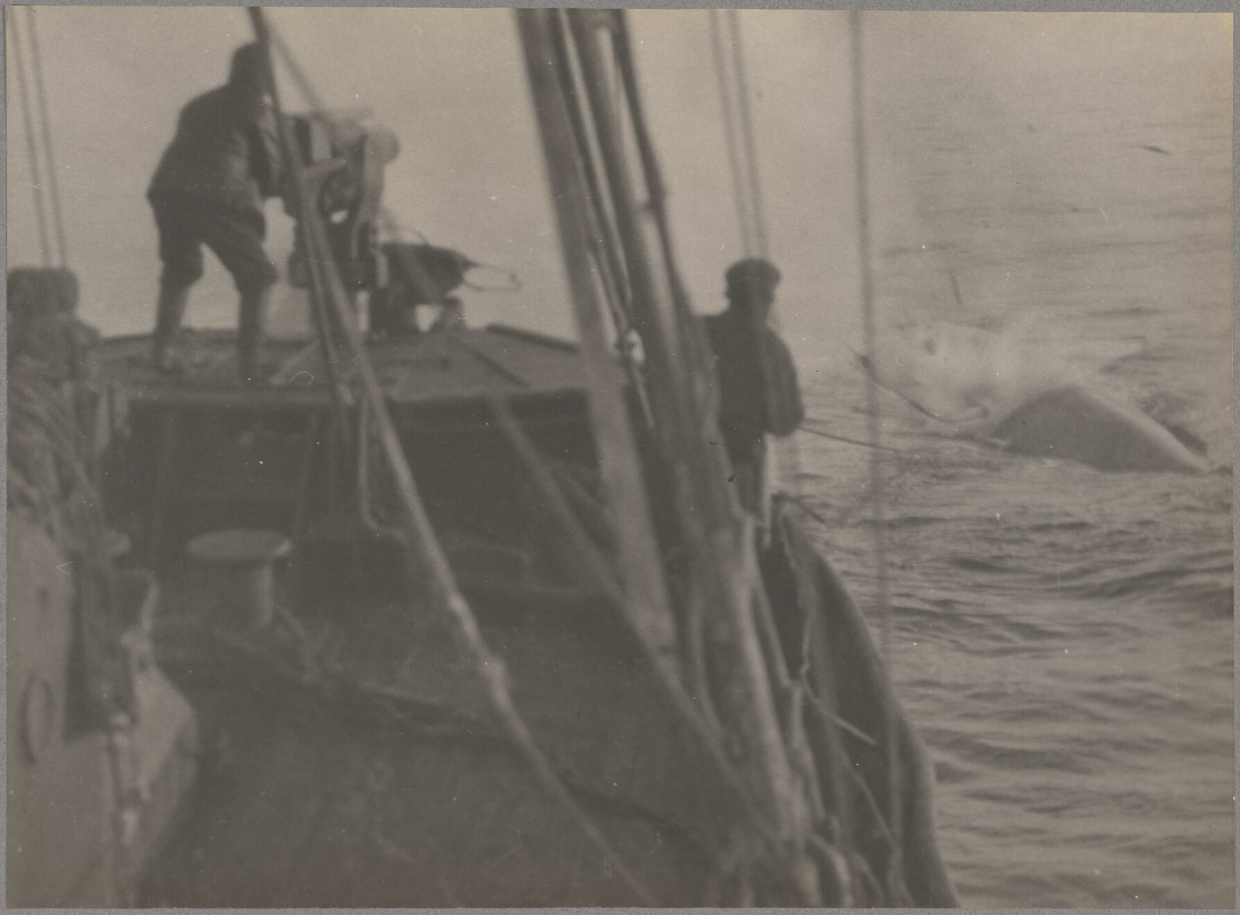 Crew members firing a harpoon at a whale