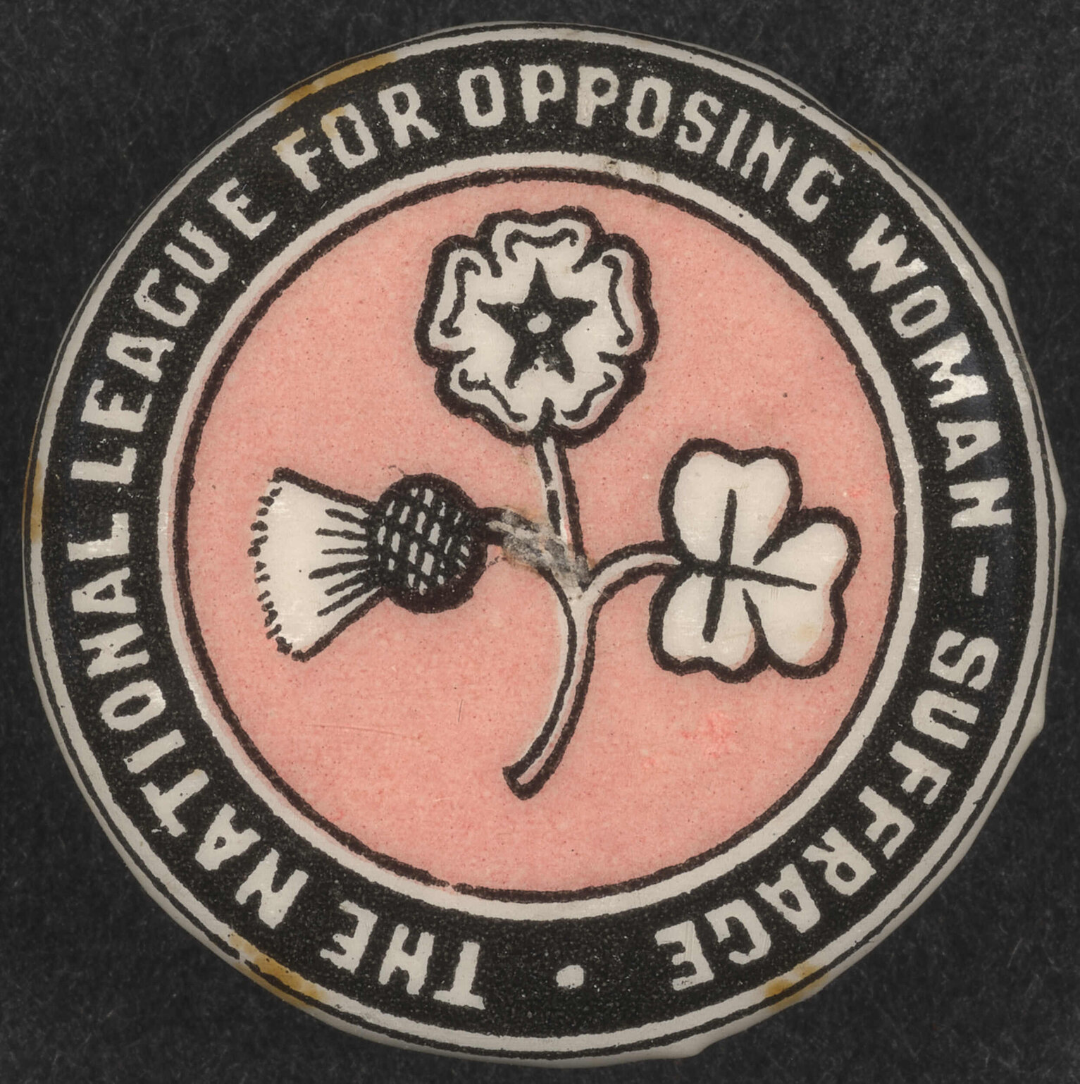 'The National League for Opposing Woman Suffrage' badge