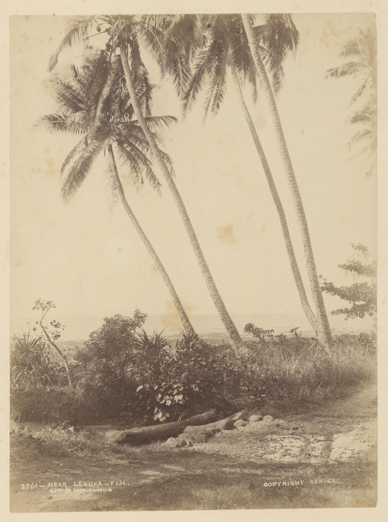 Near Levuka, Fiji