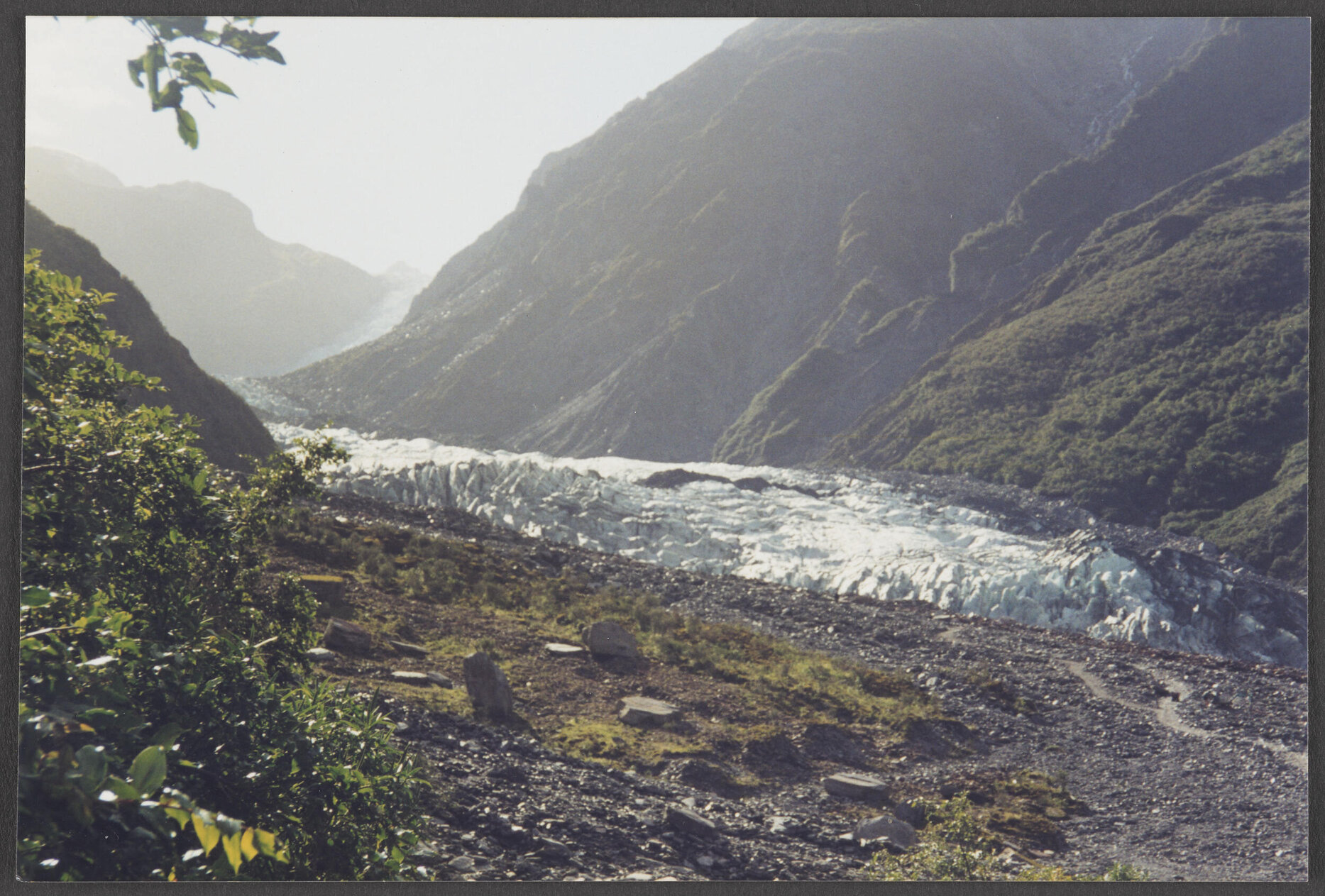 Franz Josef Glacier