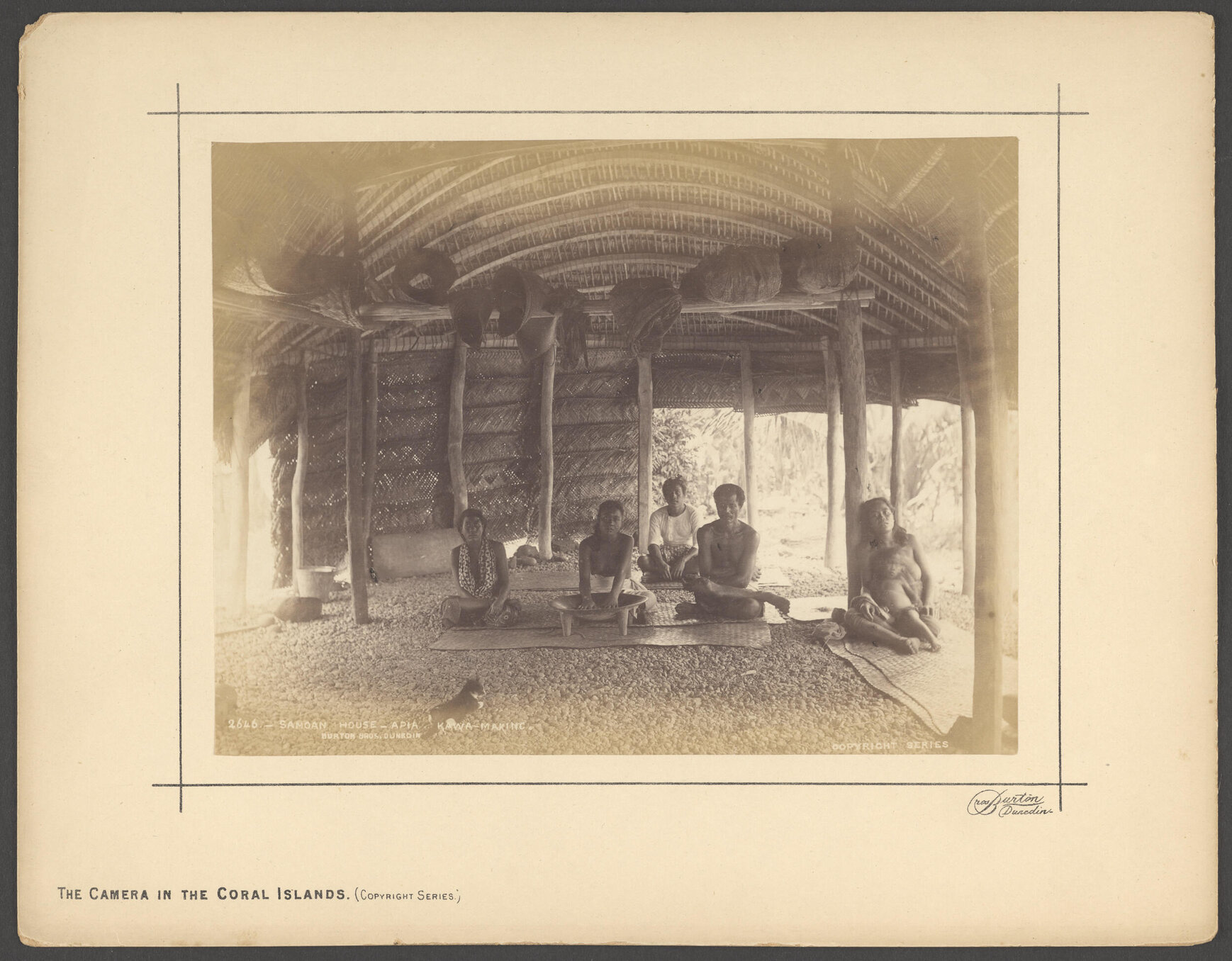 Samoan house, Apia, kawa-making
