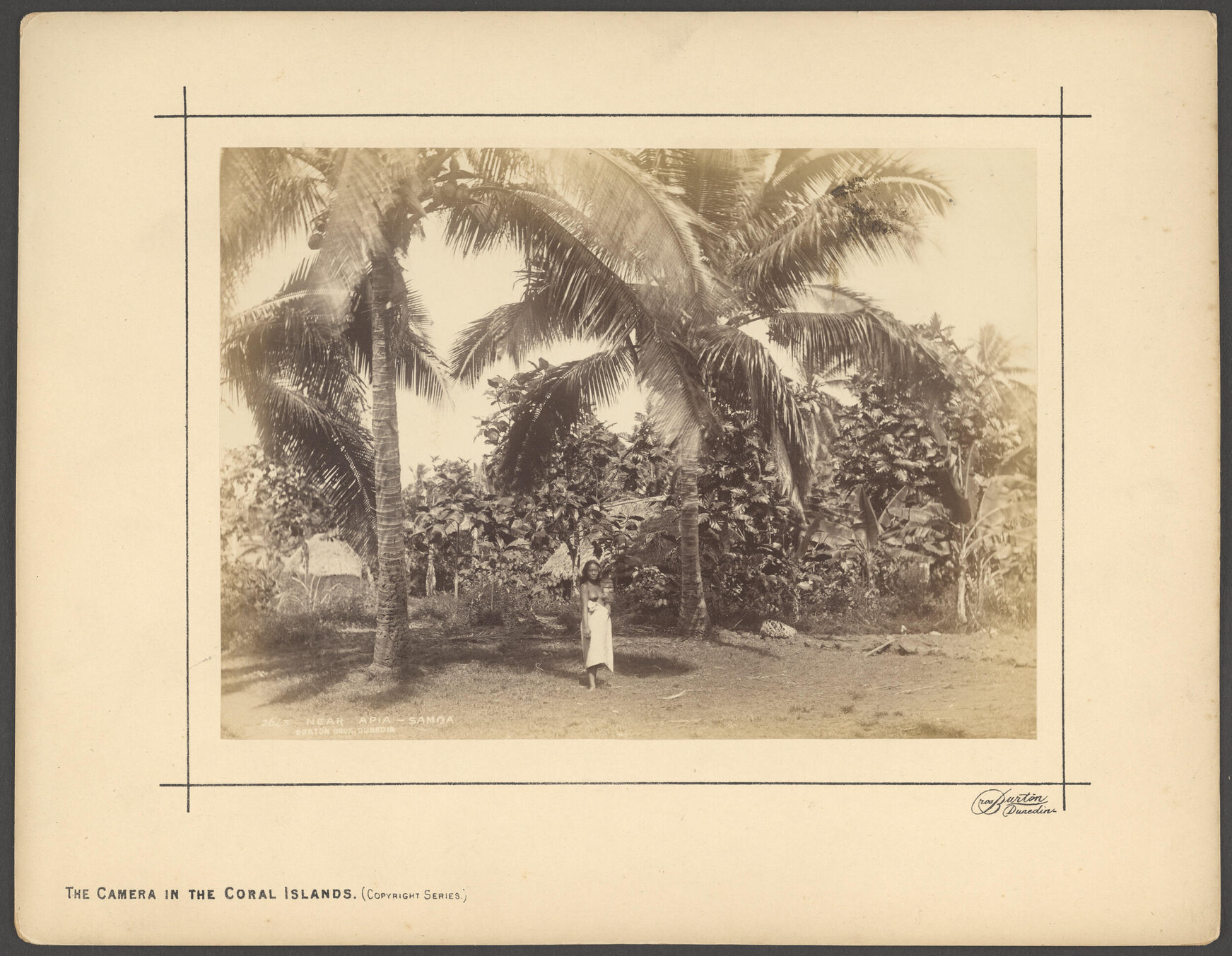 Near Apia, Samoa