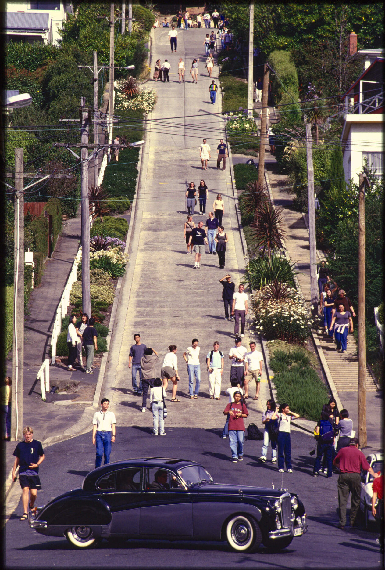 Baldwin Street, Dunedin