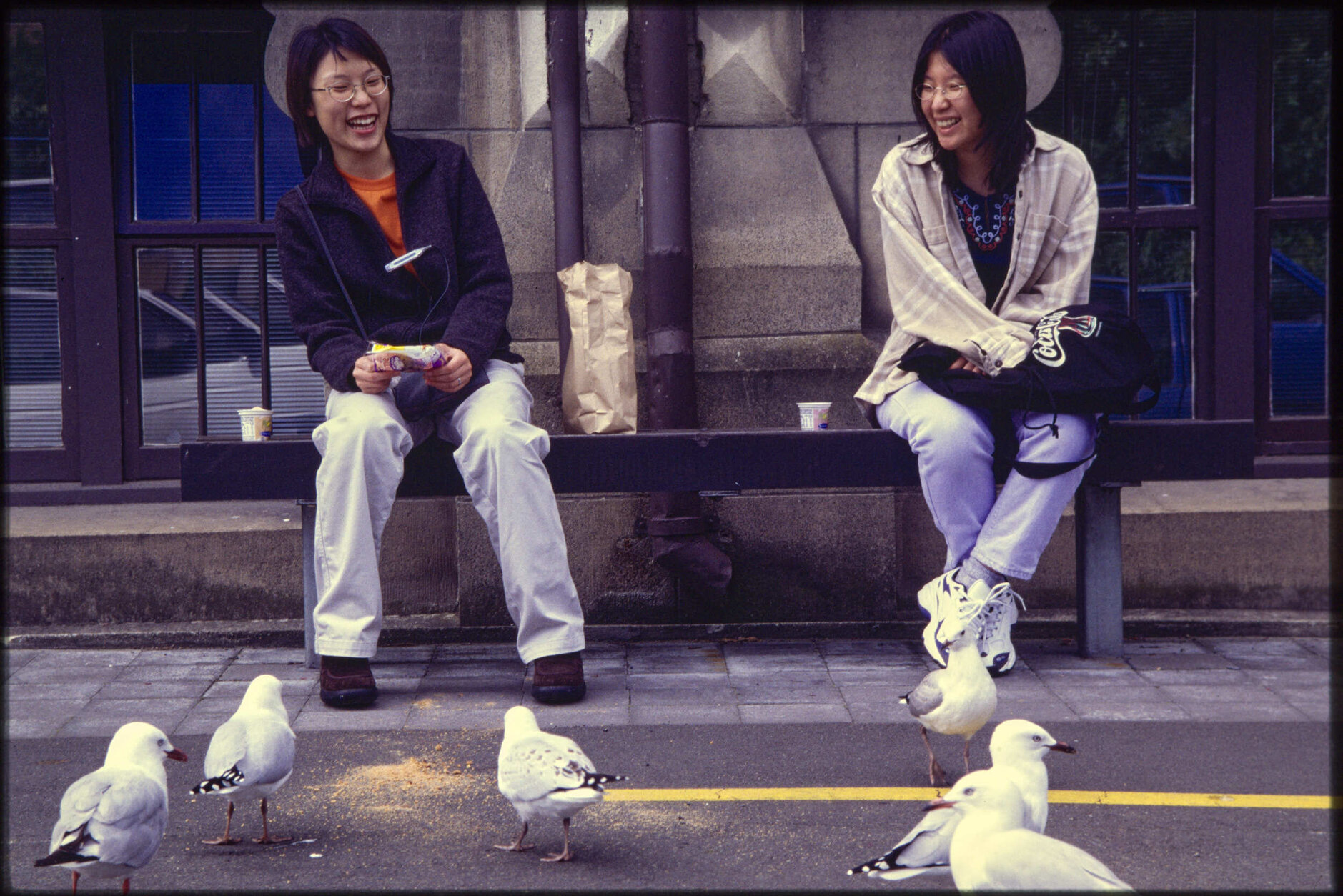 Two women sitting on a bench with seagulls in foreground