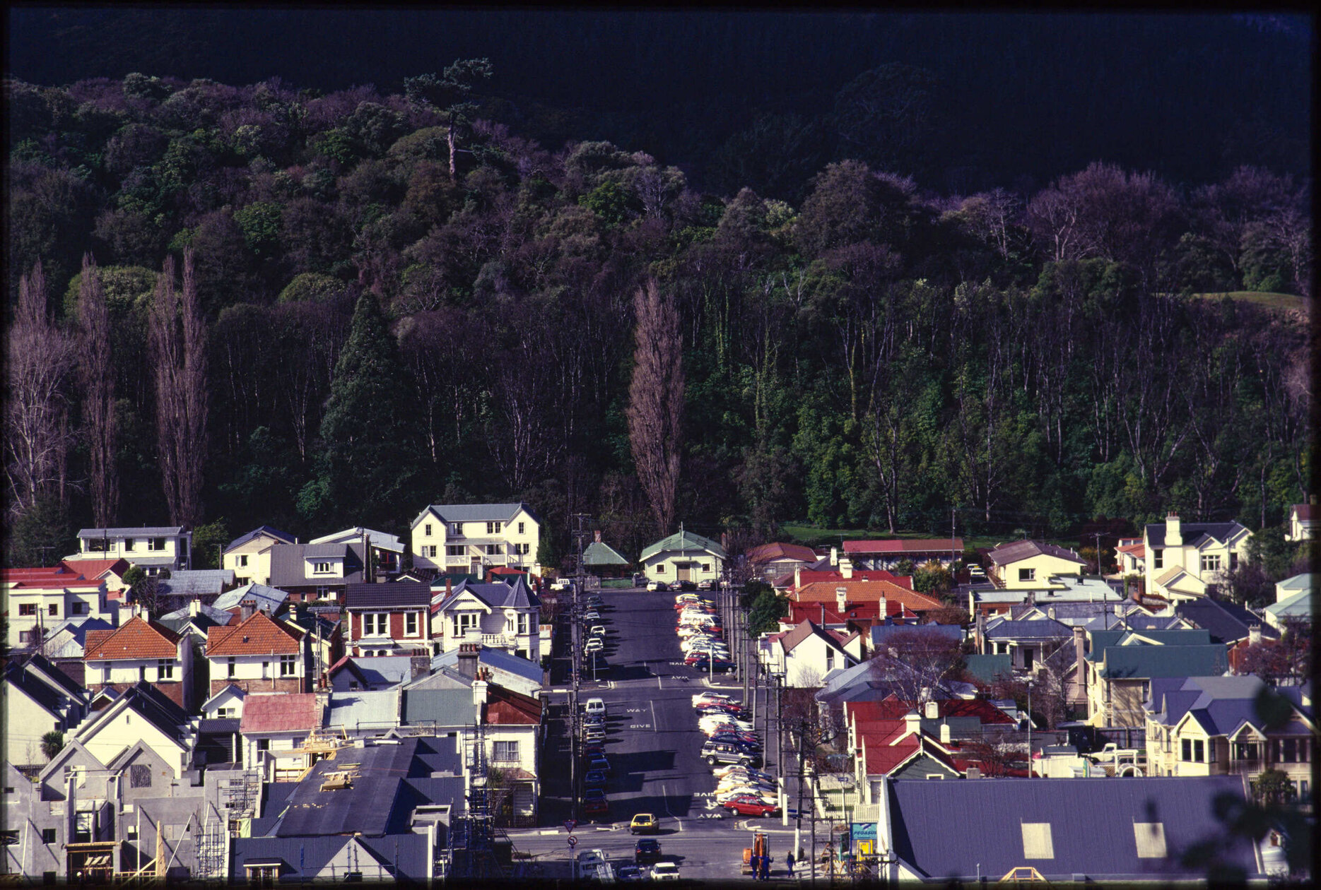 View over North Dunedin houses to Dunedin Botanic Garden