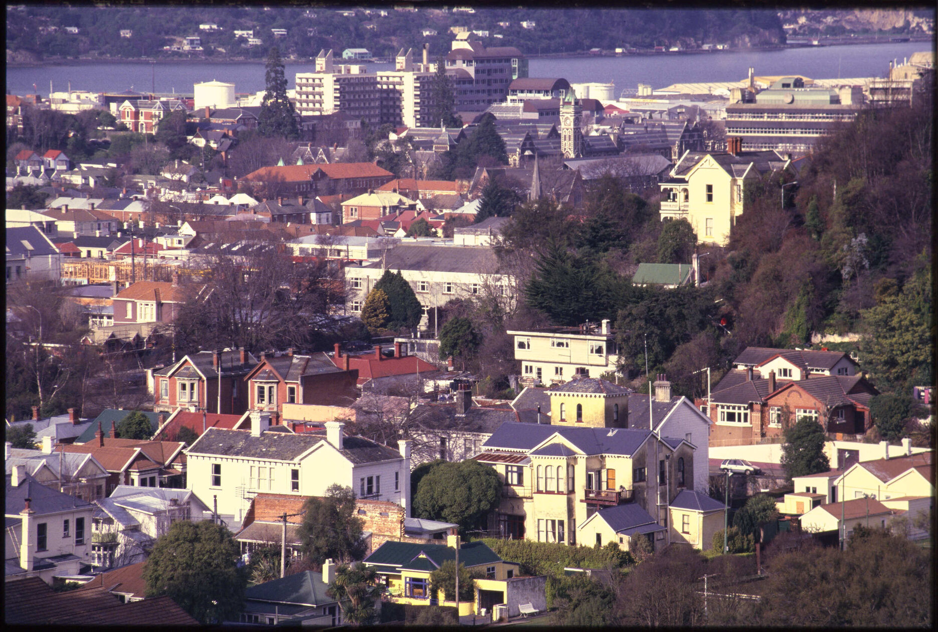 View over houses at Woodhaugh, towards the university campus and harbour