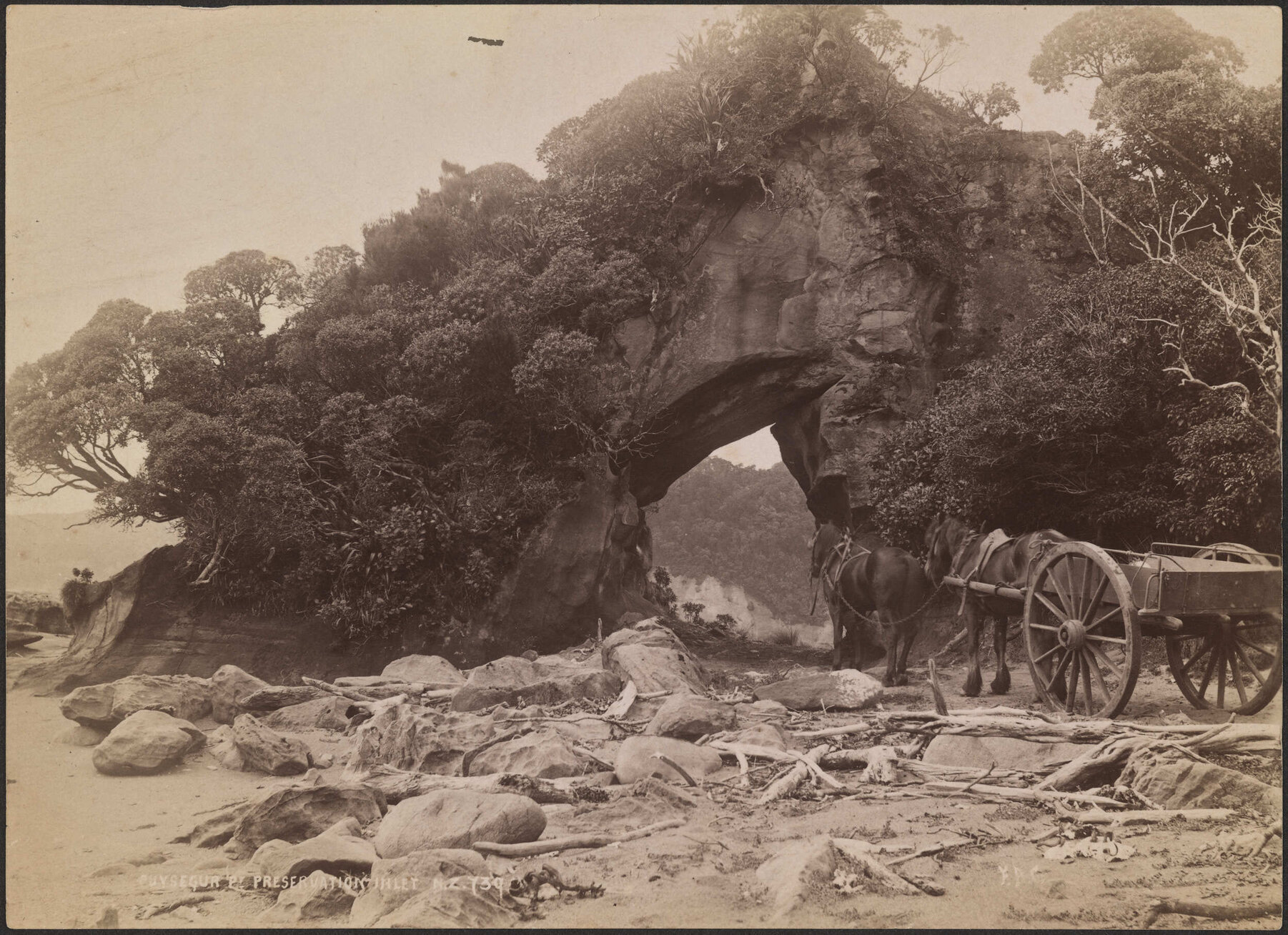 Puysegur Point, Preservation Inlet