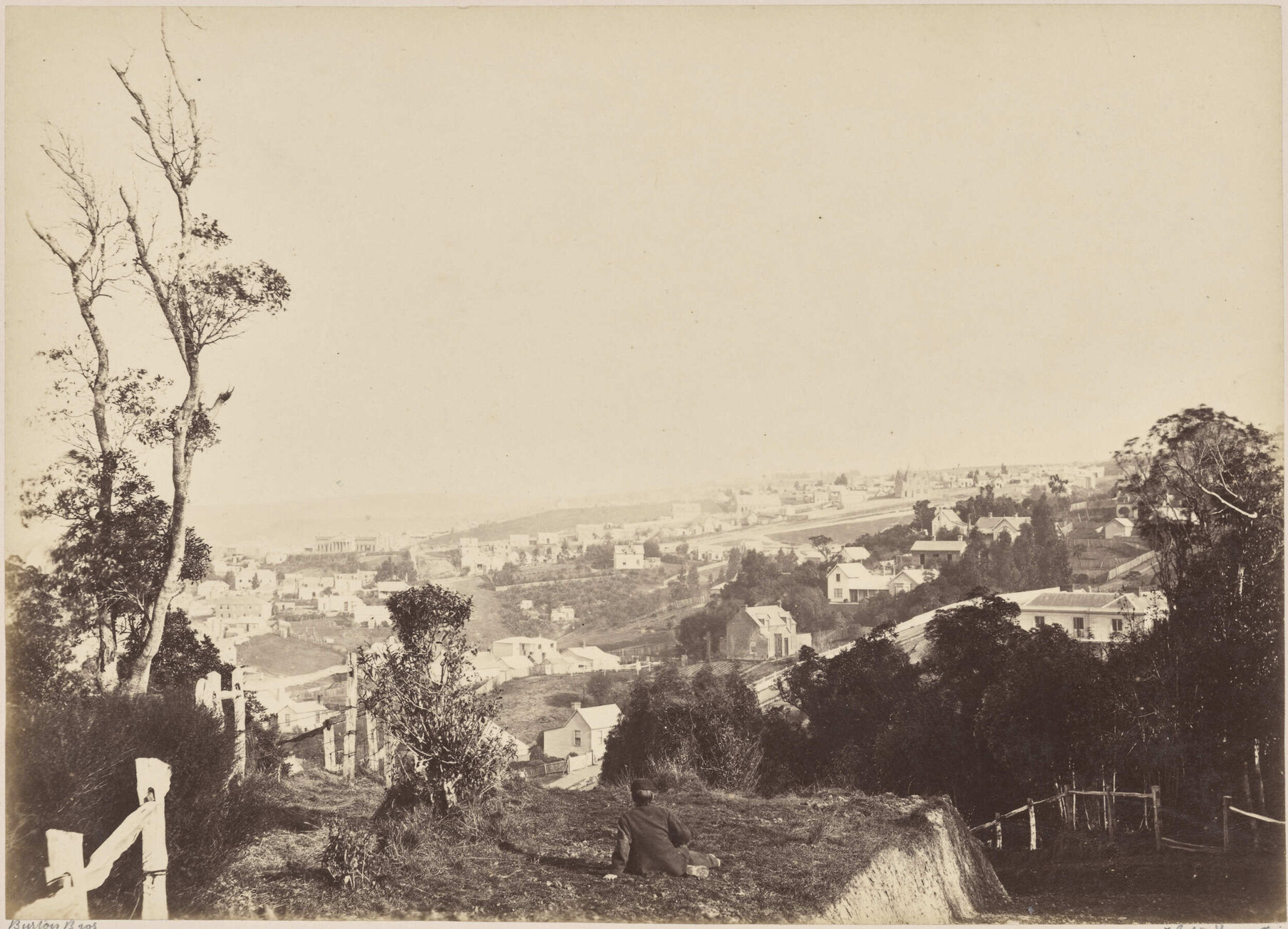 Dunedin from Heriot Row