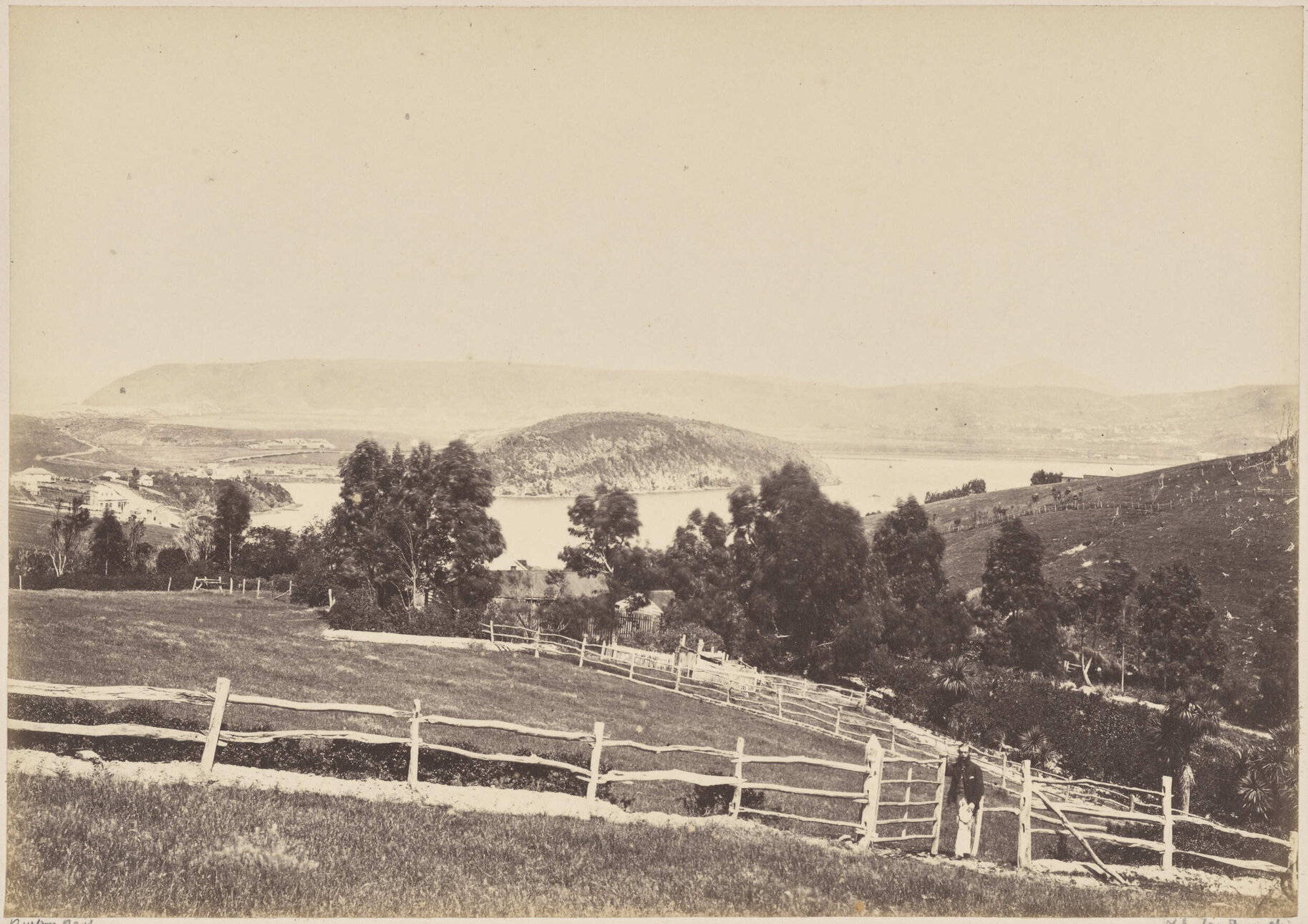 Silveracres, Anderson's Bay