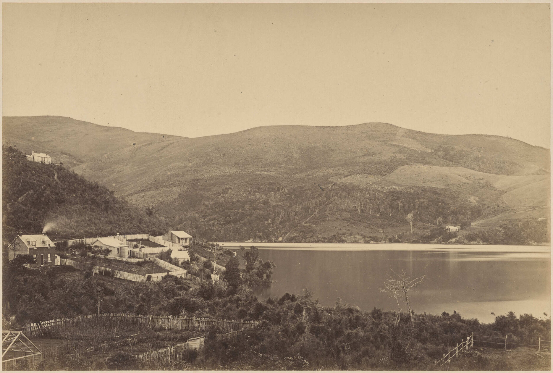 Pelichet Bay, Dunedin