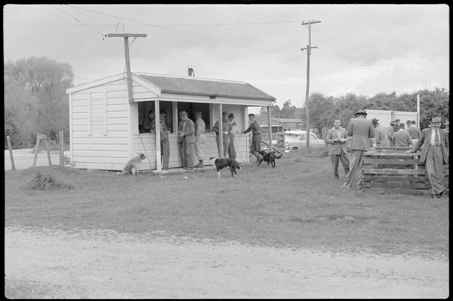 Canteen and saleyard
