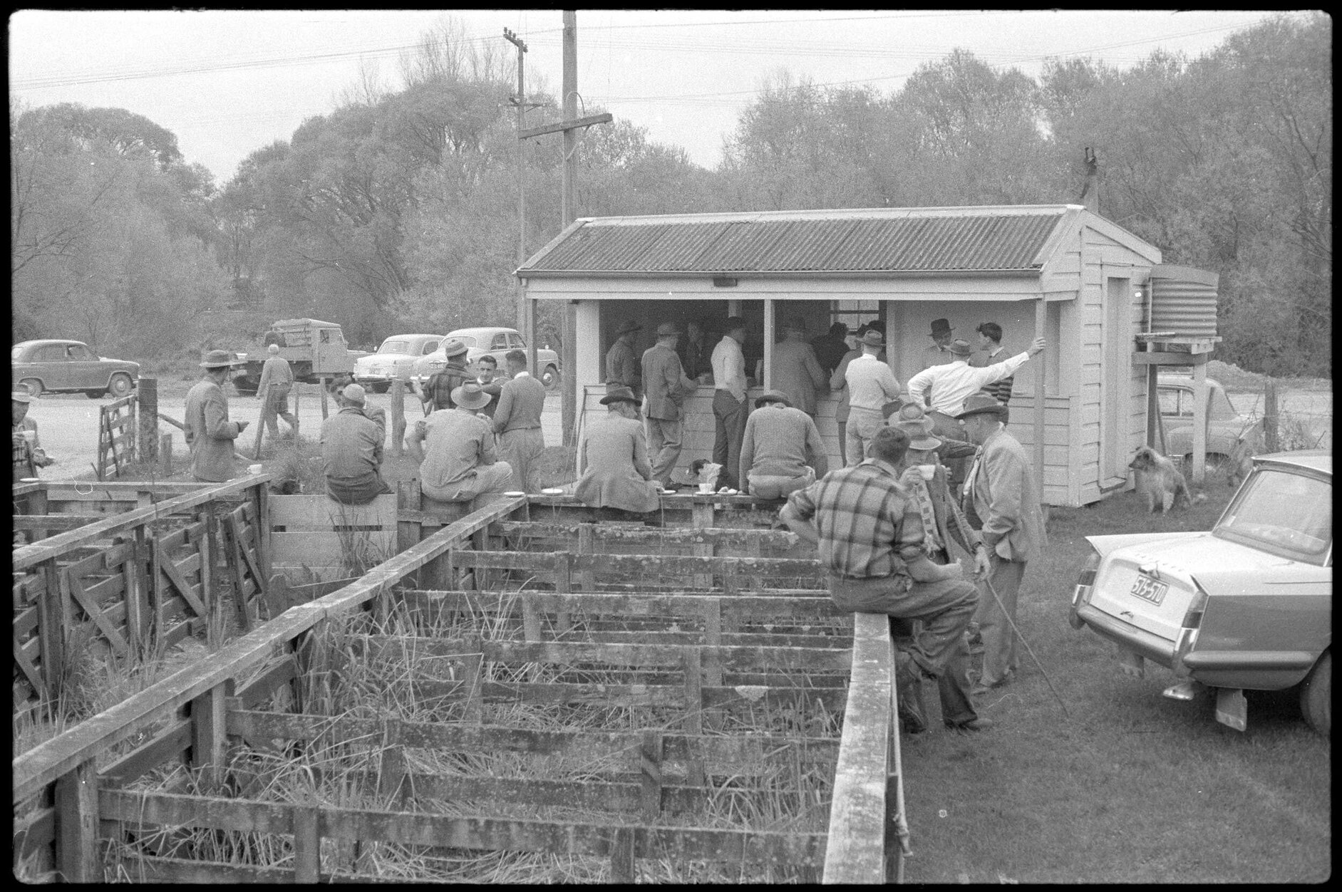 Canteen and saleyard