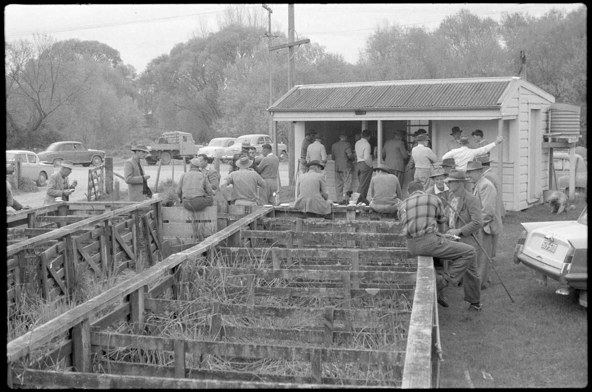 Canteen and saleyard