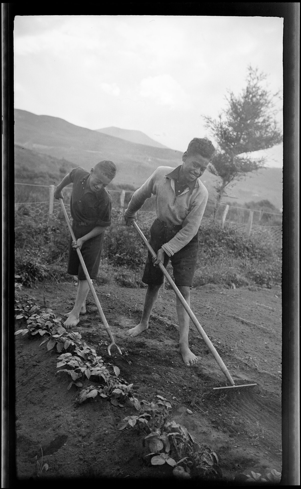 Children working in a garden