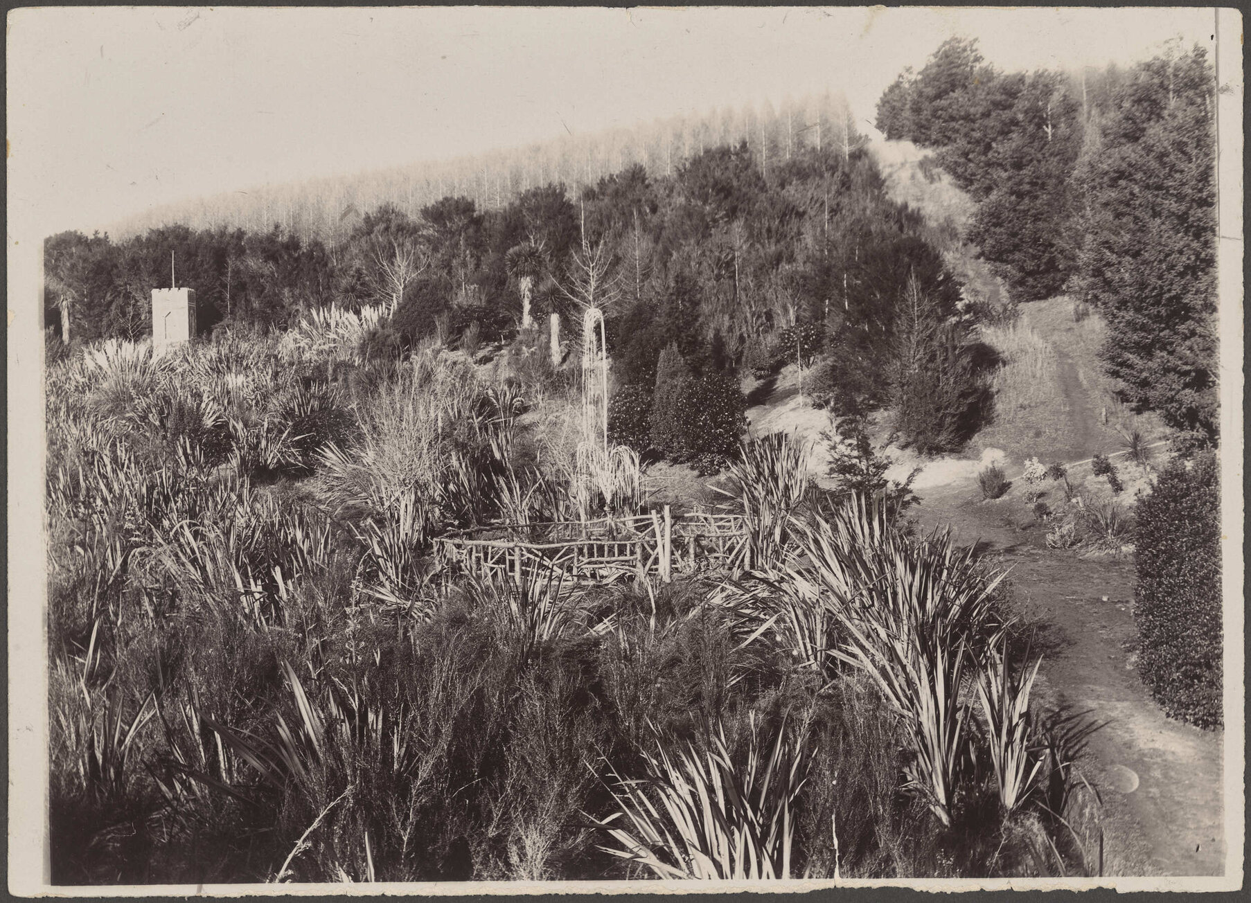 Fountain surrounded by flax at Wairongoa Springs