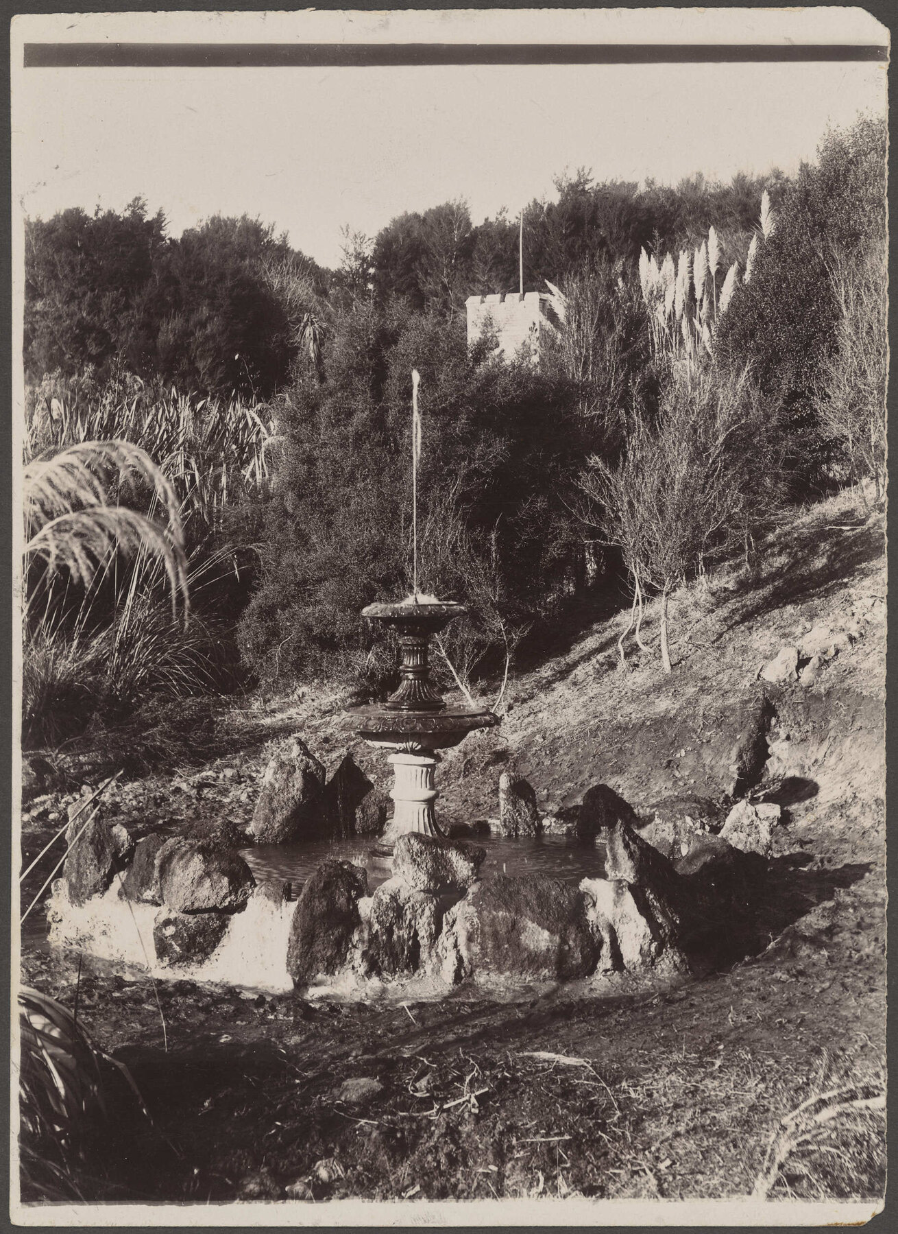 Fountain at Wairongoa Springs