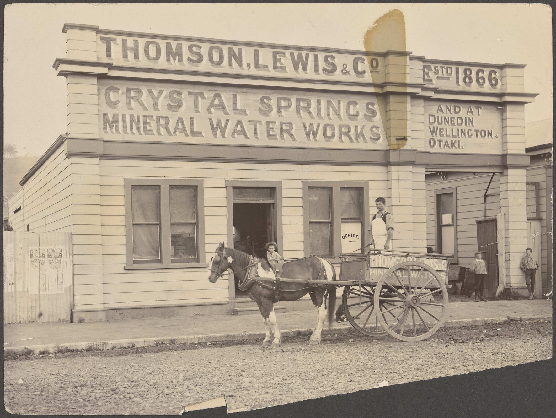 Horse and cart in front of Thomson, Lewis &amp; Co. premises, with driver and three children