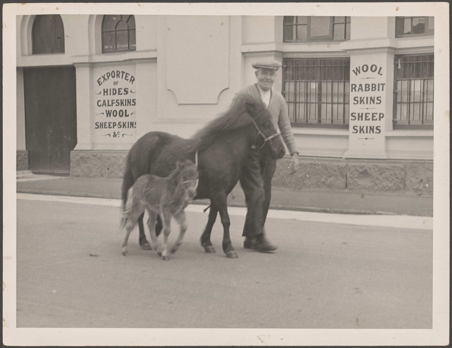 Man walking on Bond Street alongside a pony and a foal