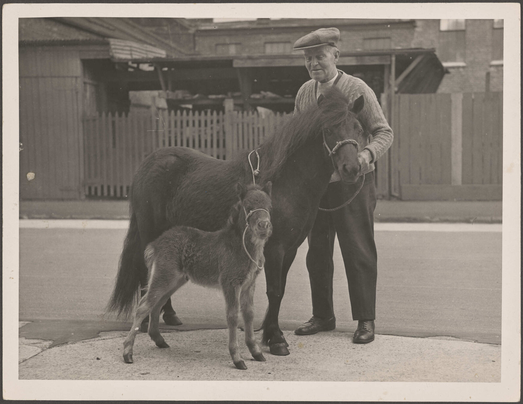 Man standing with a pony
