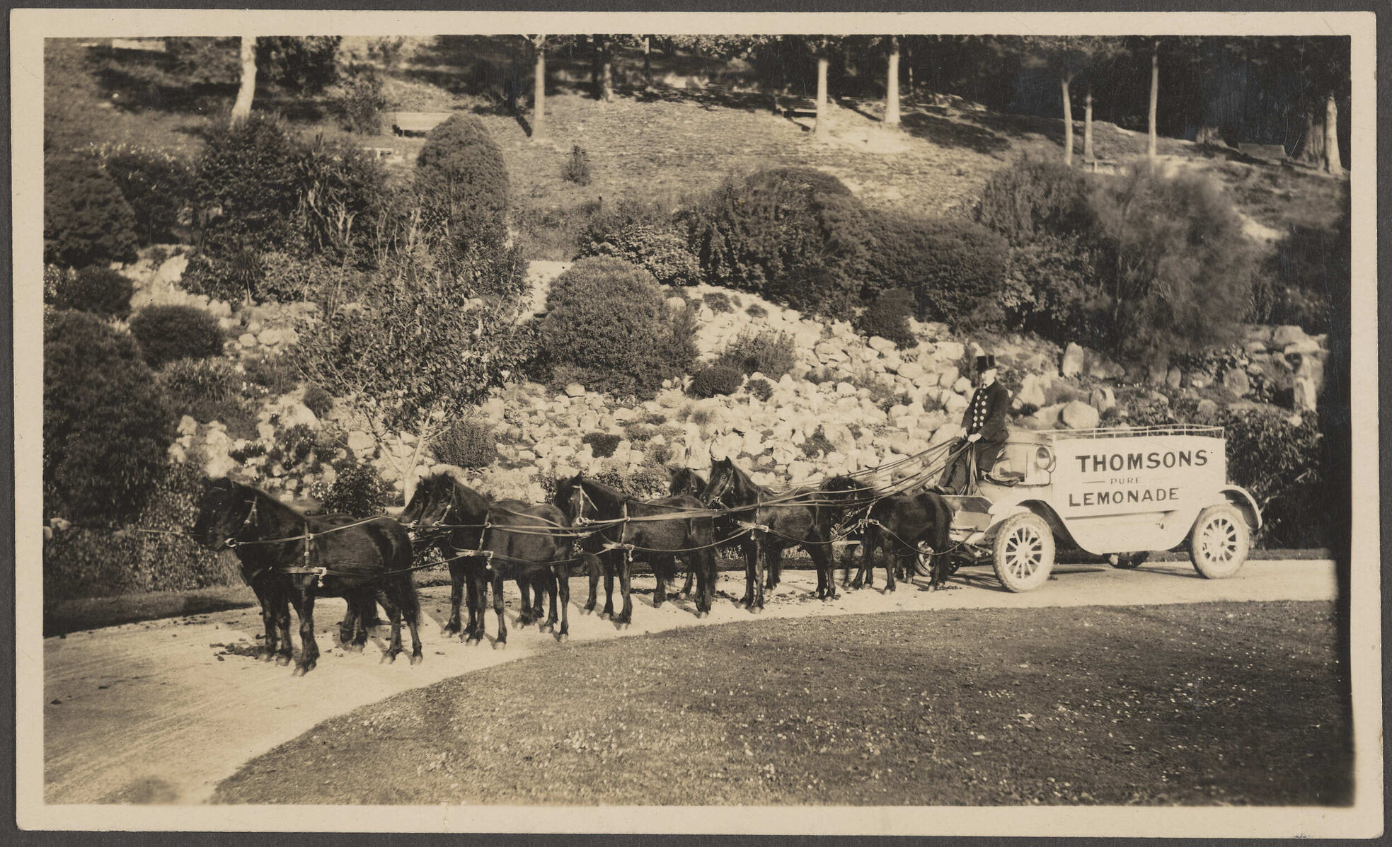 Thomsons Lemonade pony-drawn wagon and driver at Dunedin Botanic Garden