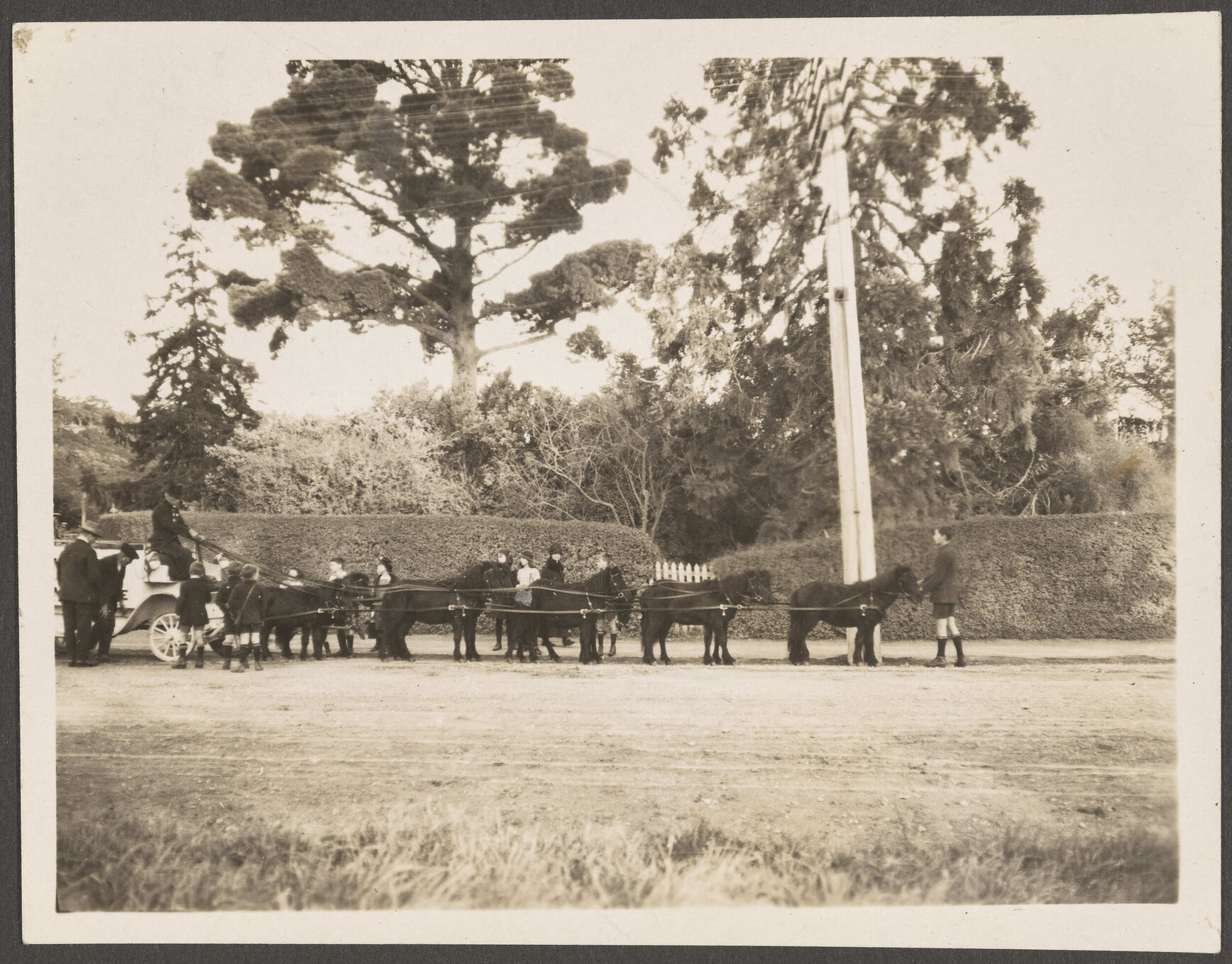 Thomsons Lemonade pony-drawn wagon on King Street, near an entrance gate of Dunedin Botanic Garden