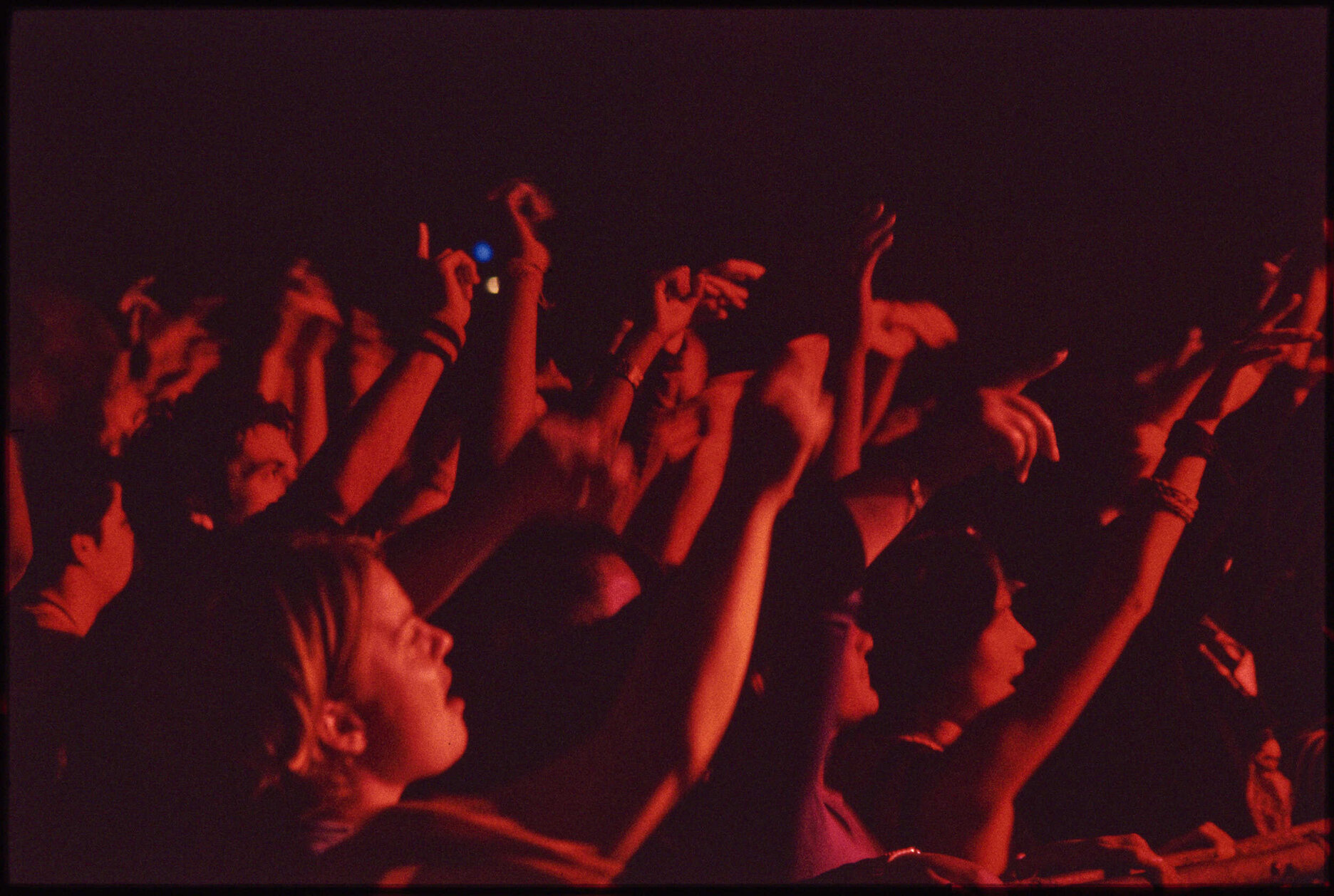 'Nightlife'