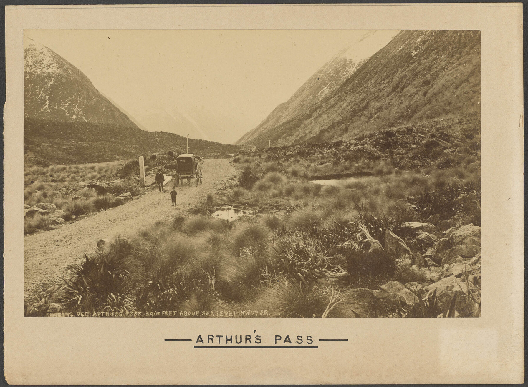Dividing peg, Arthur's Pass 3960 feet above sea level