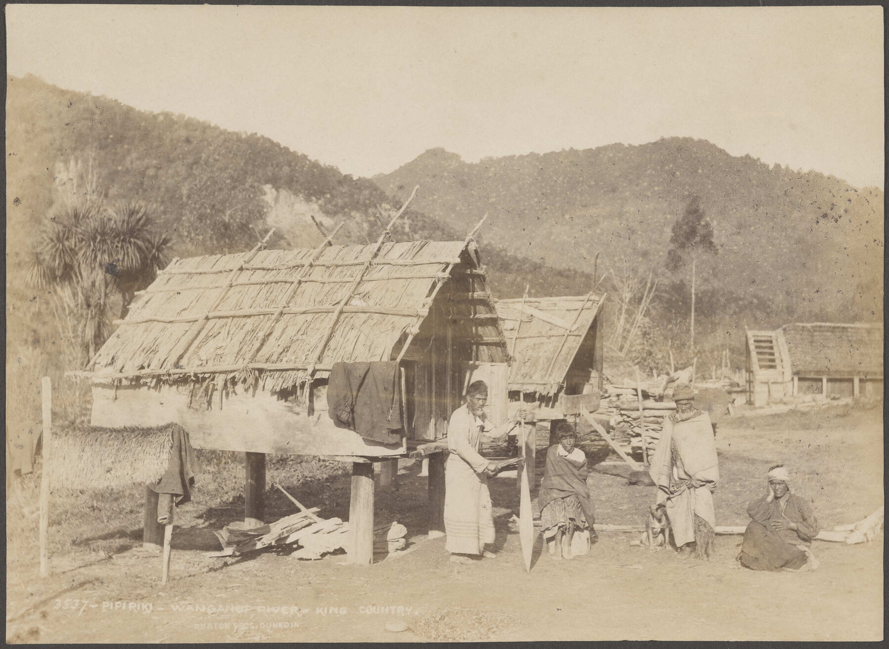 Pipiriki, Wanganui River, King Country
