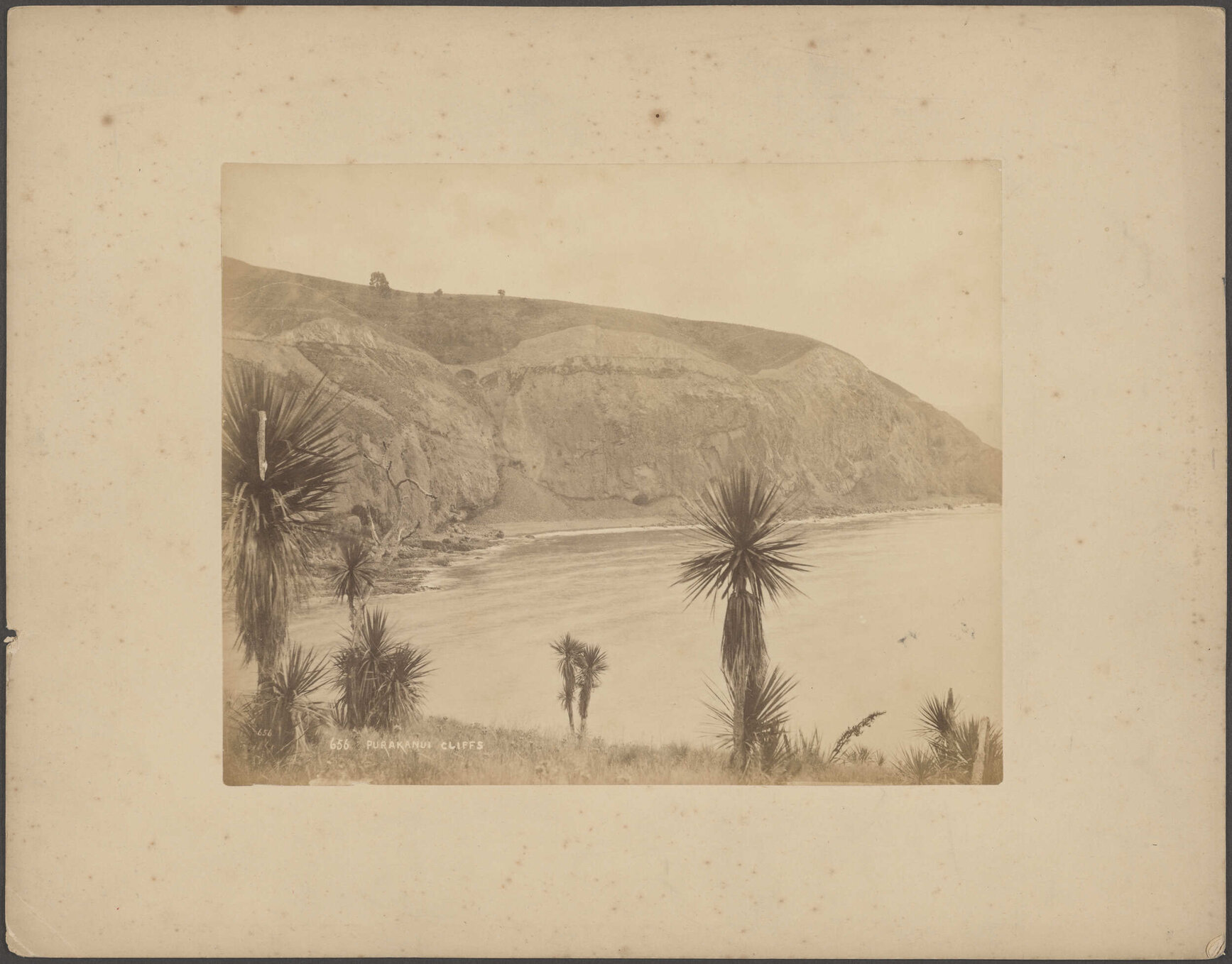 Purakanui Cliffs