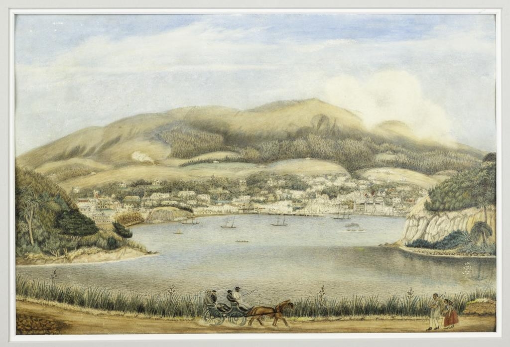 Dunedin from the Portobello Road