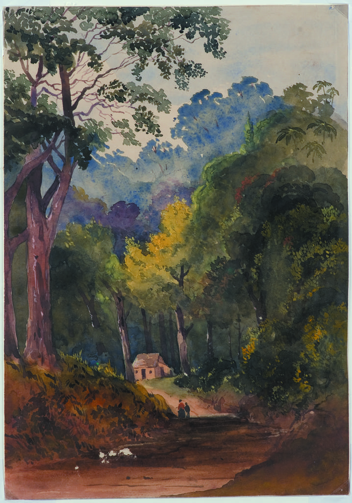 On the Ohario Road, Wellington