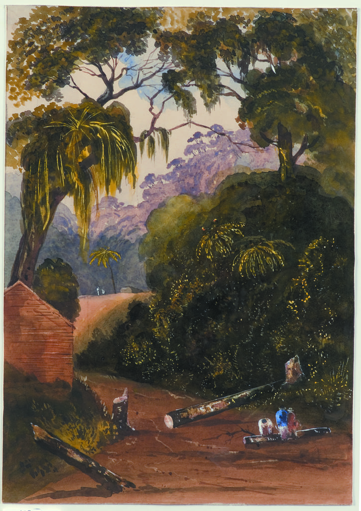 On the Nghauranga Road, Wellington