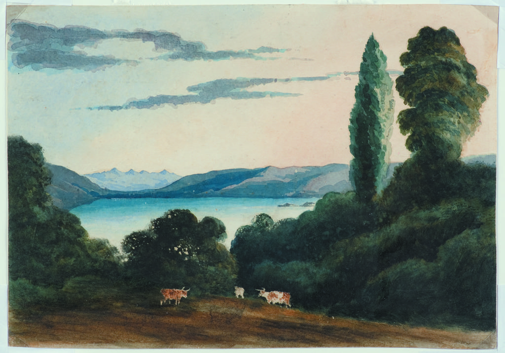 Port Nicholson from the Karori Road about two miles from Wellington, New Zealand