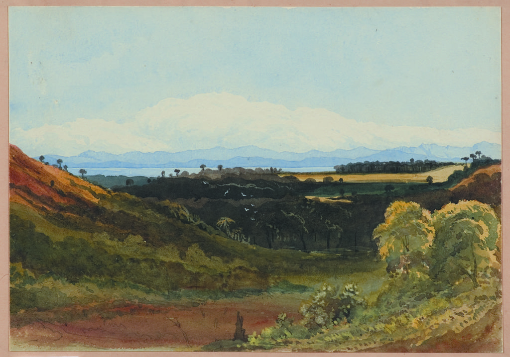 The Riwaka Valley. Nelson