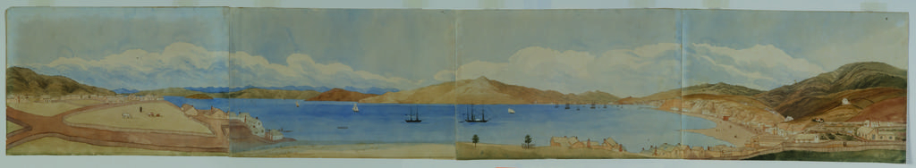 Port Nicholson and part of Wellington