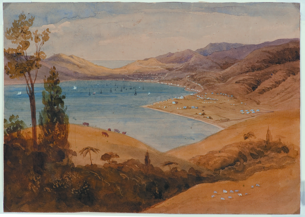 Wellington from Kaiwarra Hill