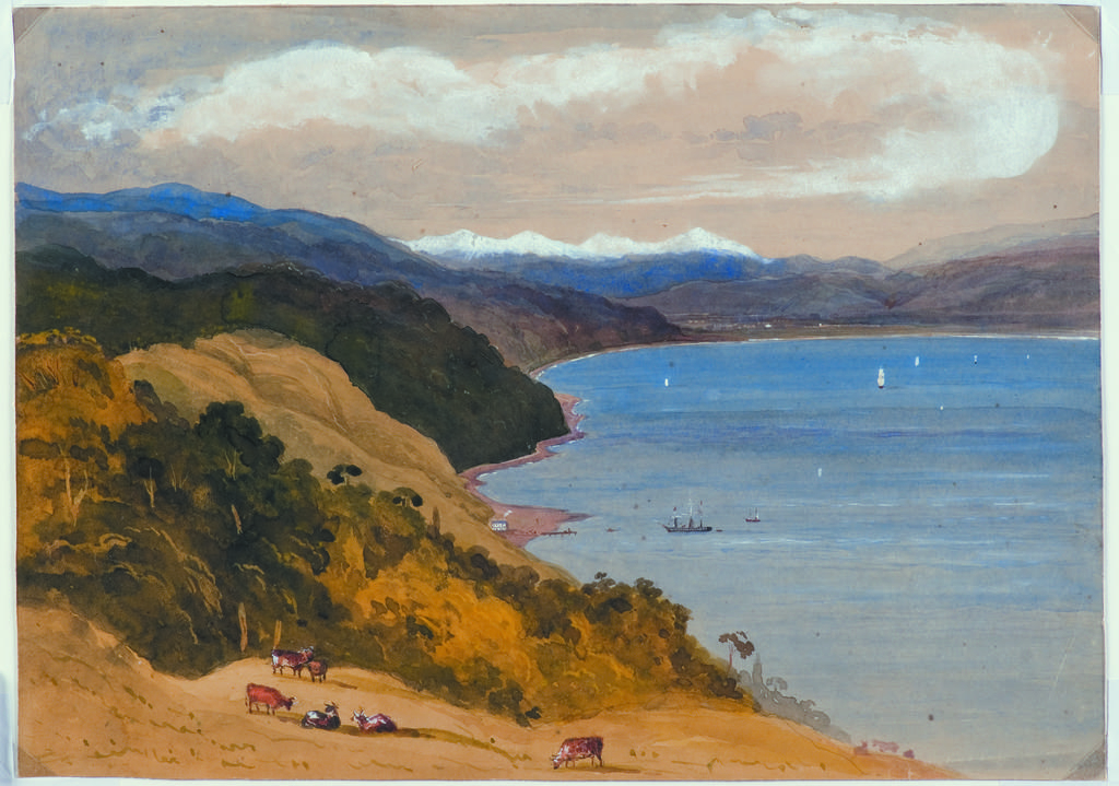 Port Nicholson from the Town Belt Wellington