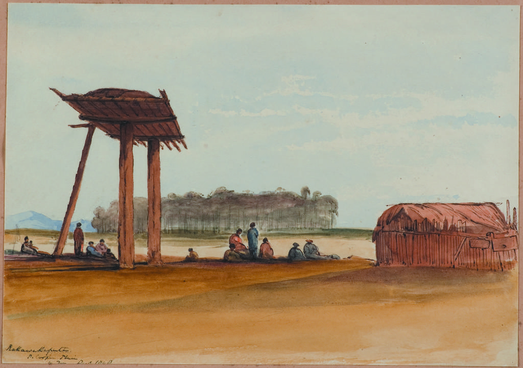 Rakawakaputa, P. Cooper Plains. 1848