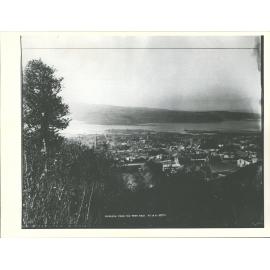 Dunedin from the Town Belt
